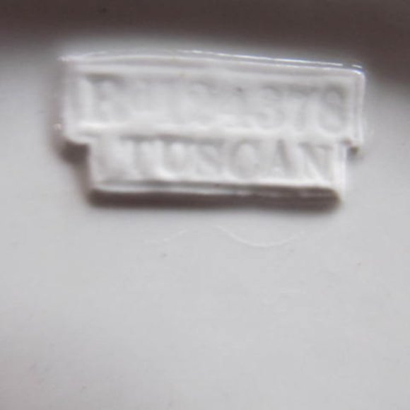 T & R Boote Waterloo Potteries transferware Schonbrunn White Ironstone Covered - Picture 6 of 9